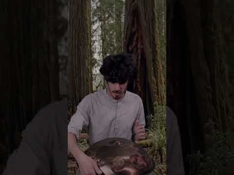 Improvised Handpan Performance Full of Surprises 🎶 | Planet Ding