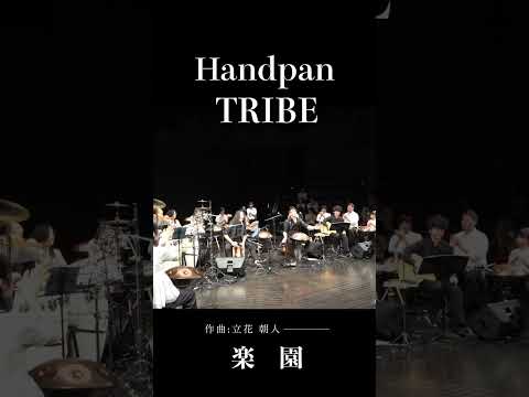 そこは、悩みごとのない世界。音で感じる地上の楽園 | Handpan Tribe「楽園」