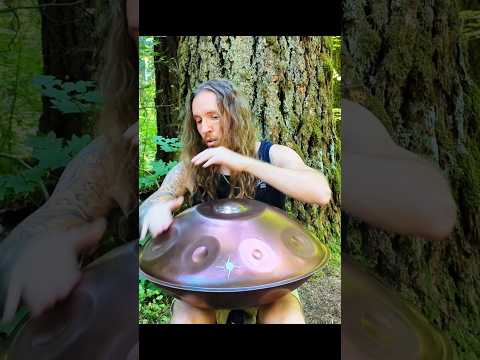 Forest Magical Handpan Music On The Nordlys 🛸