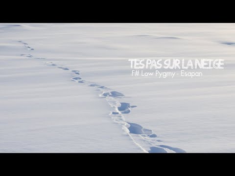 Détente et Immersion : Musique pour se déconnecter du monde - Tes pas sur la neige