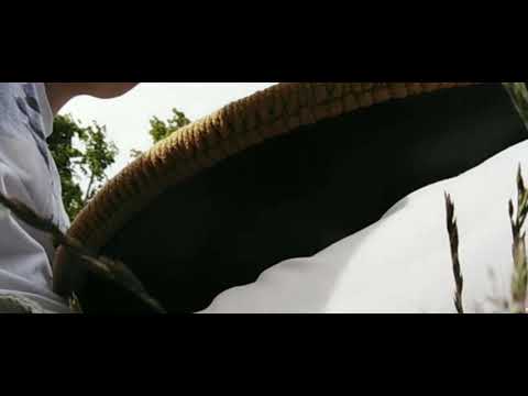 Handpan Poet - its just one Scale