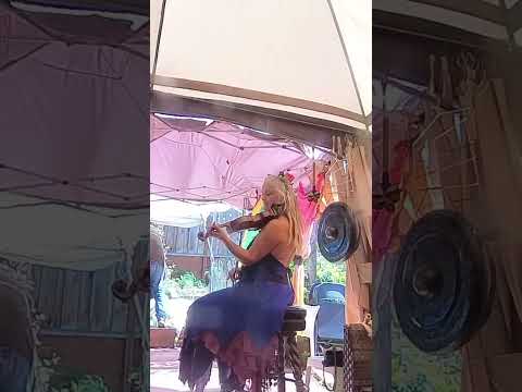 Handpan (Stephanie Law), Fiddle (Belinda Salvidge), & Harp (Hank Hogan)