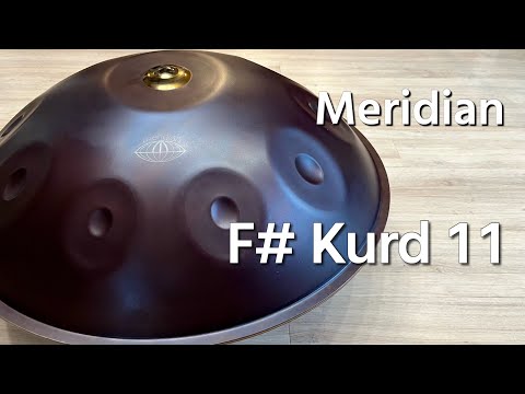 【ハンドパン販売】Meridian / F# Kurd 11 試奏 2