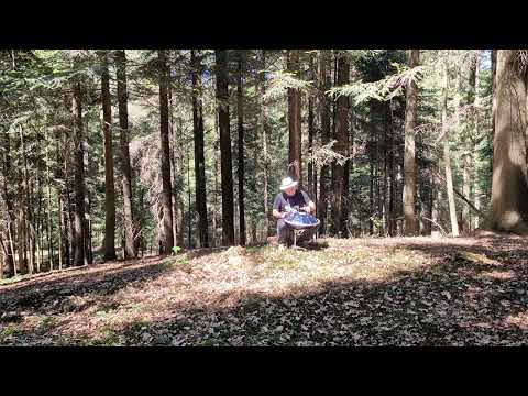 handpan D Minor