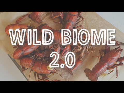 #11 | WILD BIOME 2.0 | Reflection