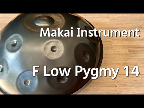 【レンタル用ハンドパン】Makai Instrument /  F Low Pygmy 14 試奏2