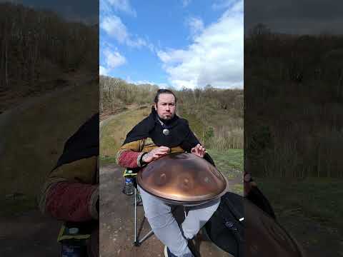 The Tree's Talk | 1 hour handpan music | Phil Cook