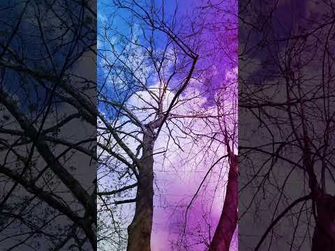 Nature Flow~ F2 low pygmy