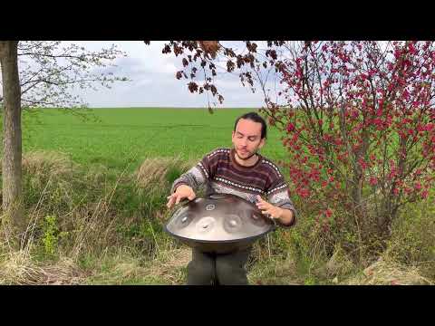 BeatRise 「StarSonic」Handpan - D Kurd 10 - Gold - Marius #handpan #handpandrum