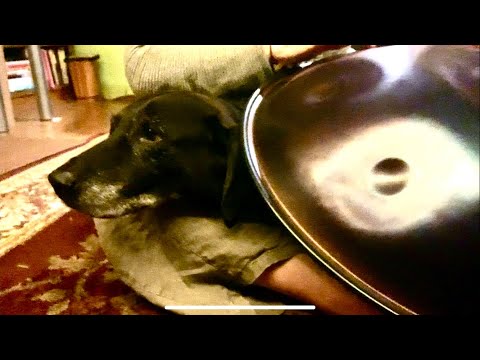 Lil Old Man Dog chilling to the handpan vibes