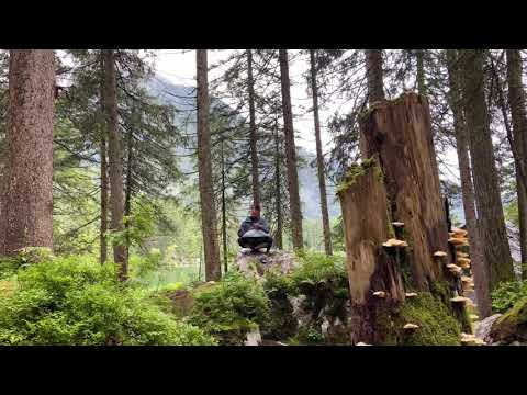 Magical Forest 🧙‍♀️[Handpan Music]