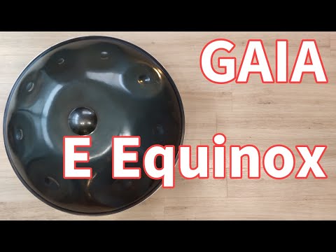 【ハンドパン販売】GAIA / E Equinox 9 試奏1