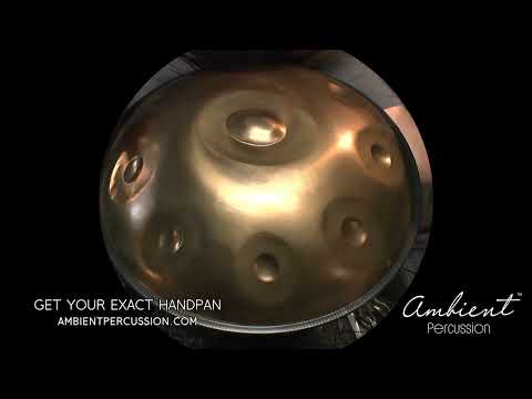 Ambient Percussion Handpan // D Kurd 8+1 (Satin Bronze)