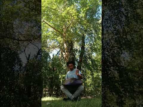 Handpan session  - Autumn's Resurrection