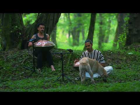 30 Minute Handpan Meditation in the Forest 🌿 | Relaxing Music for Deep Peace & Stress Relief