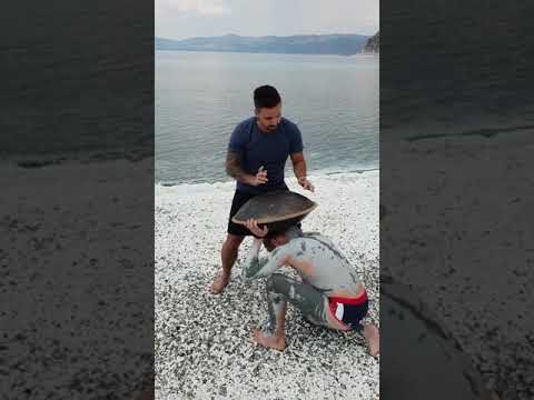 Funny HandPan Omana