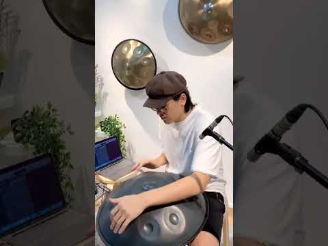 Feel the Vibe #handpan #music #vibe #mesmerizing