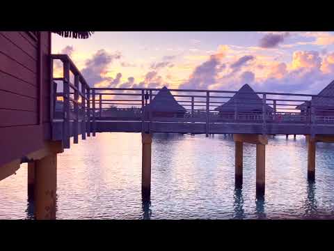 Ambient Meditation | 🌅 Sunrise in French Polynesia | MANCHOsounds Music for Meditation | YOGA music