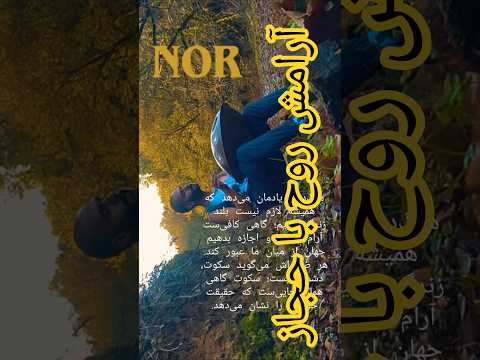 گاهی کافیست آرام باشیم و اجازه دهیم جهان از میان ما عبور کند#hangdrum #هنگدرام #meditation #handpan