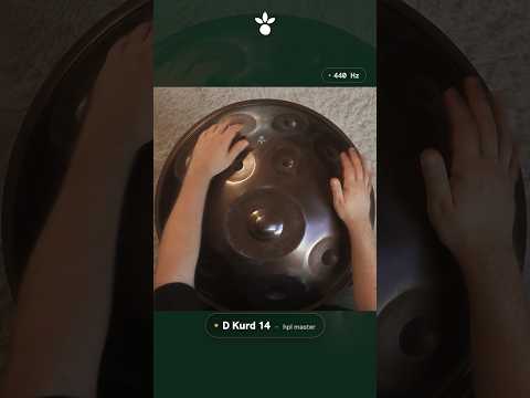 Handpan D Kurd 14 – hpl master