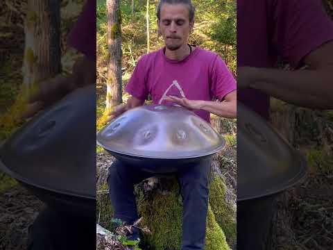 Forrest flow - Handpan music #handpan #handpanmusic