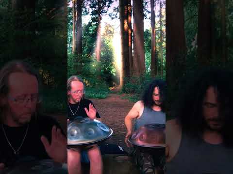 Under The Redwoods (999 Hz) | Healing 1 Hour Handpan Meditation Music | E Amara & E2 Pygmy
