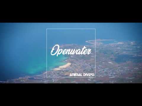 Animal Divers - Openwater (핸드팬 + 기타 + 신시사이저)