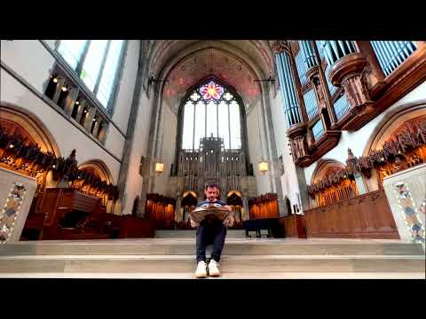 Handpan Music: Relaxing tune in Cathedral
