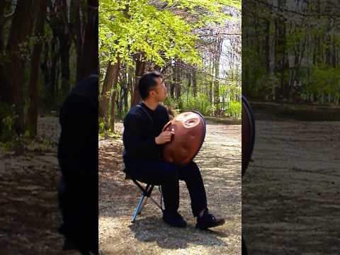 新緑と鳥の鳴き声、そしてハンドパン #ハンドパン #handpan #手碟 #핸드팬