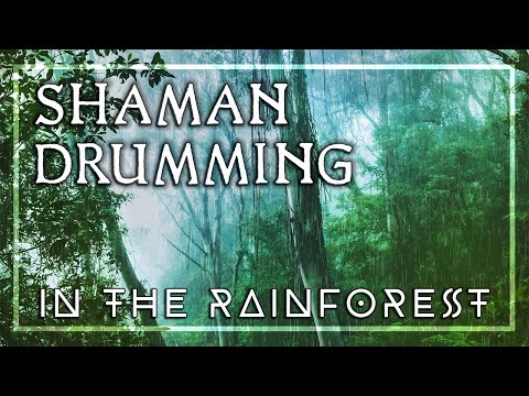 Shaman Journey • Slow Drumming in the Rainforest • Power of Nature • Mother Earth Reconnection