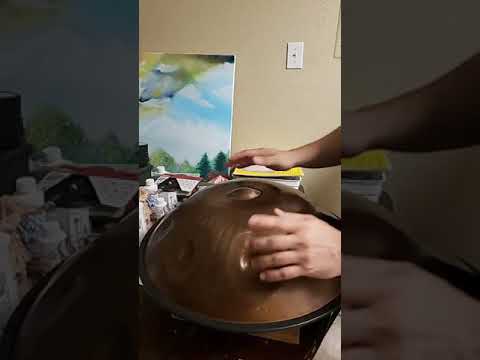 Sela SE 201 Harmony Handpan D Kurd  Stainless Steel