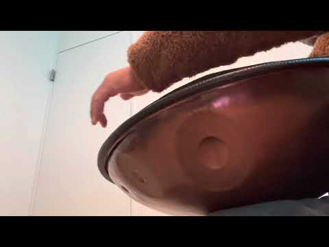 ハンドパン handpan Black Umbrella / D Ashakiran 17
