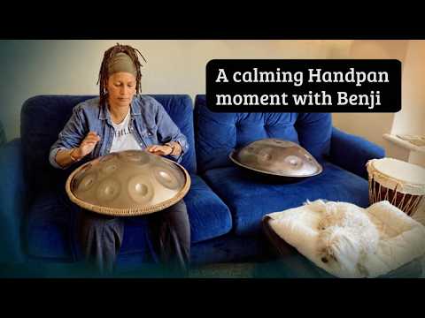 Earth Rising | Acoustic Handpan Version | Lazy Hammock with Benji