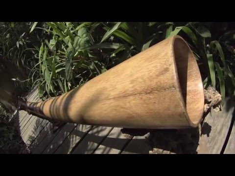 Didgeridoo from Palisander wood 163 cm – F