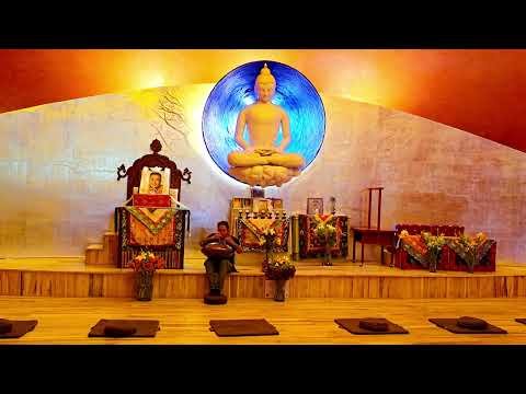 Travel Awareness ~ 💥 Cosmic Stele 💥 F3 Pygmy 19 💥Handpan México