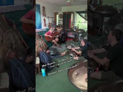 🛸🎶🦋 Now THIS is a first for me!  A Harp Guitar at a handpan jam!  I love it!!  💕🎶🛸