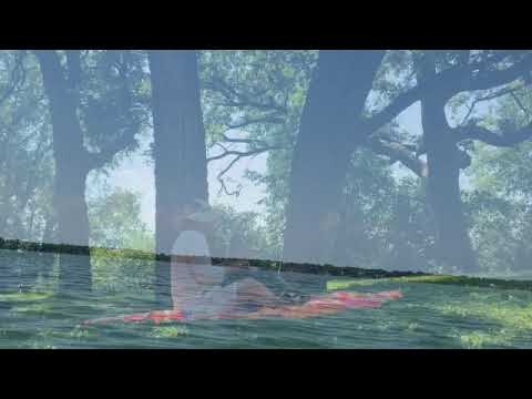 Lake Kegonsa Handpan Improvisation. Relax and enjoy quiet hand pan music.
