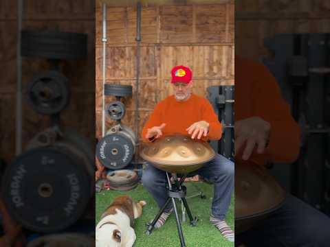 Garden meditation 🧘 #handpan #handpanmusic