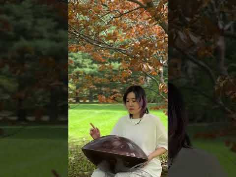 🇨🇦 Handpan | Can’t let go of summer - #F Low Pygmy 21  #handpan #meditaionmusic #nature #toronto