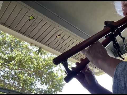 That Handpan Lady … Delightfully Diddling with a Drone (2nd flute post ever…getting braver..lol)