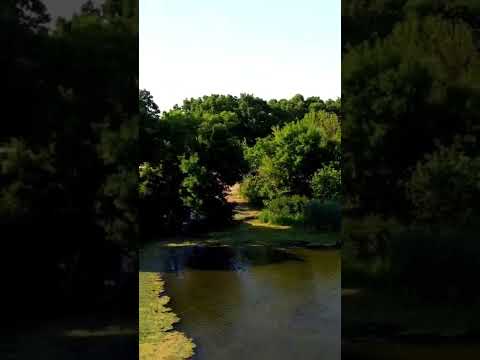 Vanlife and Handpan [Handpan Music]