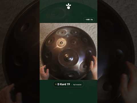Handpan D Kurd 19 – hpl master