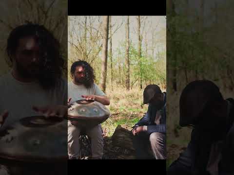 Take it easy... | Handpan Music | Richard Mawby (handpanandlife) & Duke Vadis