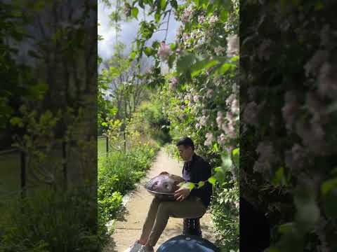 Handpan F# Pygmy 18 - Parc de Belleville - Paris - France