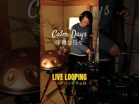 ハンドパンとチェロのLIVE LOOPING #handpan #handpan #cello #livelooping #looping #ハンドパン