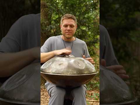 Handpan Music meets the Nature 🌿 #handpan