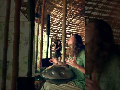 'Guitar Style' of playing the handpan #handpan #handpanclass #handpanlessons