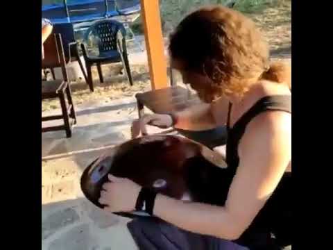 Blesspan D Ashakiran 16 Exploration - Blesspan Handpan Gathering 2021