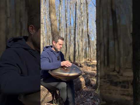 Handpan music in nature #1111hz #handpansound #handpanmeditation #naturesounds #relaxingmusic #love