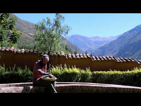 Handpan with a View | Neotone Digital Handpan